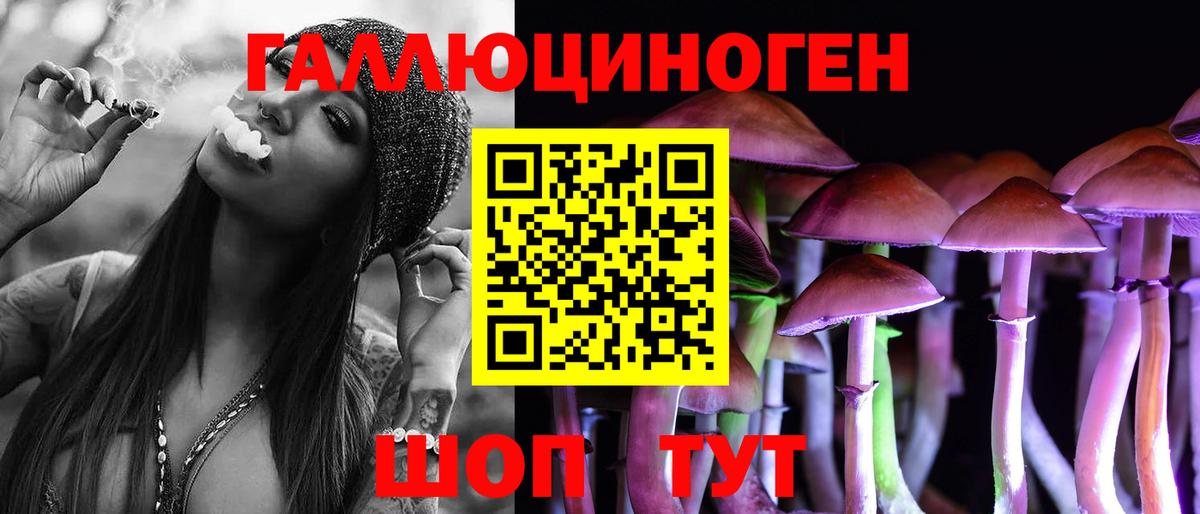 Псилоцибиновые грибы Psilocybine cubensis Артём