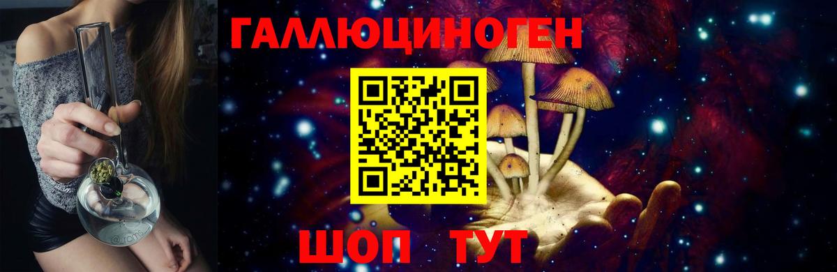 Псилоцибиновые грибы MAGIC MUSHROOMS  Галлюциногенные грибы Psilocybe  Артём  Вход с VPN 